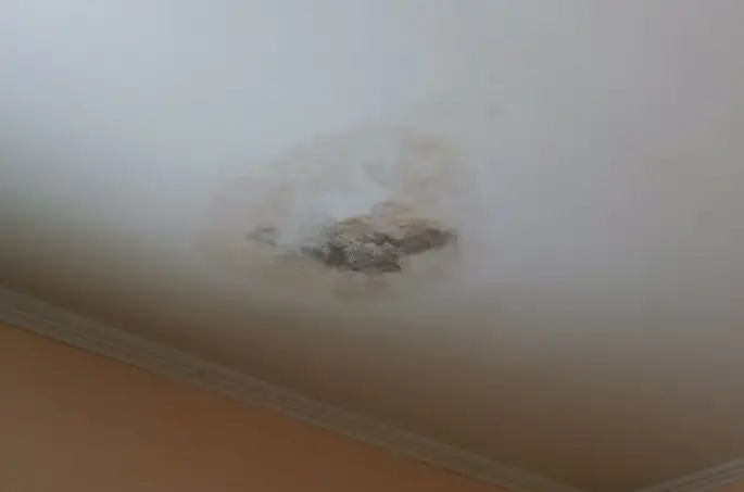 How To Remove Mold From Bathroom Ceiling Homebli - How To Remove Mold From Bathroom Ceiling Before Painting