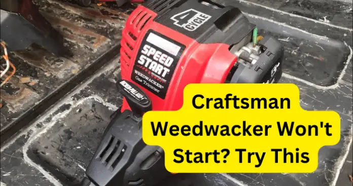 Craftsman Weedwacker Won't Start