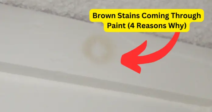 Brown Stains Coming Through Paint