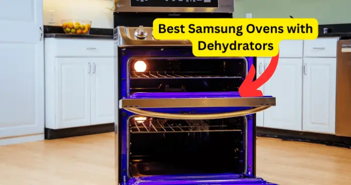 Best Samsung Ovens with Dehydrators